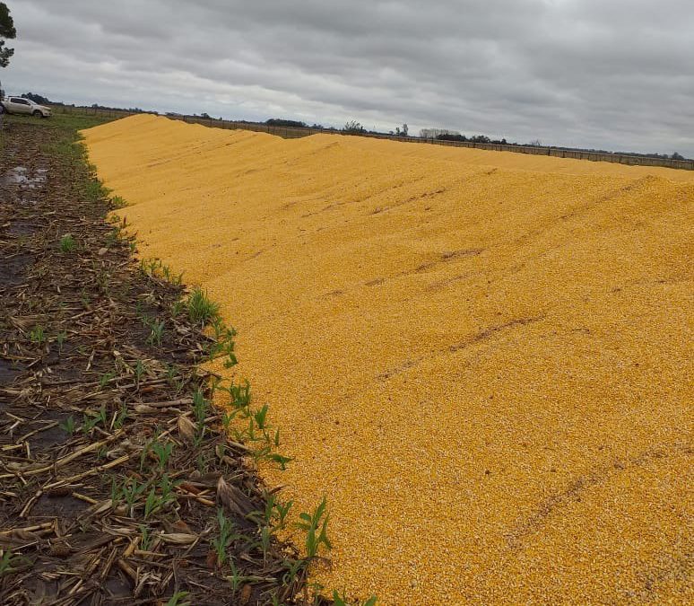 Preocupación en productores agropecuarios por reiterados hechos de inseguridad rural