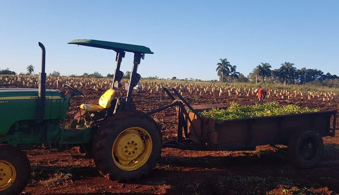 Financiamiento a productores de Misiones para promover la producciónEntrega de microcréditos en el Norte del país