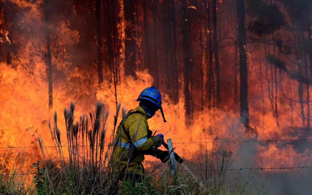 El drama de Corrientes en primera persona: perdió toda la producción de miel, pero en las mañanas rescata animales del fuego y a la tarde trabaja en una escuela"Es lamentable ver cómo en media hora estamos perdiendo años de esfuerzo y sacrificio"